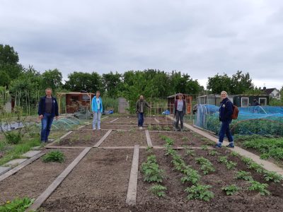 Moestuin