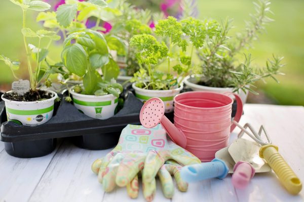 planting-g983bf969a_1920[320]
